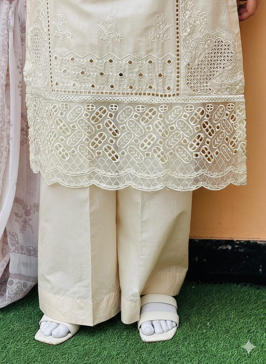 Stitched Luxury Lawn 3pc 6669